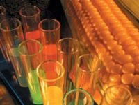 La Commissione Ambiente del PE boccia la Commissione europea sul nuovo mais OGM 1507 Pioneer