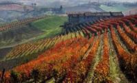 Franciacorta, agrofarmaci: regolamento unico per i comuni del territorio