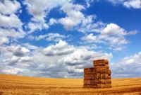 Quattro convegni per la smart farm del futuro a Fieragricola