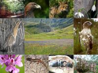 Alla Fiera di Vita in Campagna il primo libro per fare birdwatching e foto da campioni