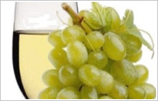 Dichiarazioni vitivinicole, scadenza prorogata al 15 gennaio 2009